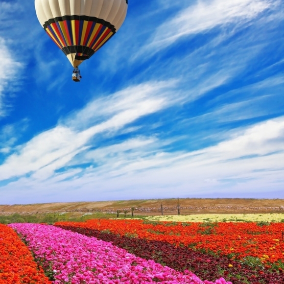 Meet your Posher, Laurie - Picture 9 of 11